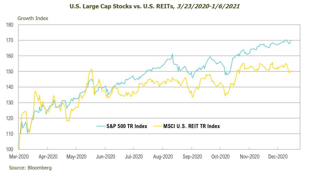 Large Cap vs. REITS