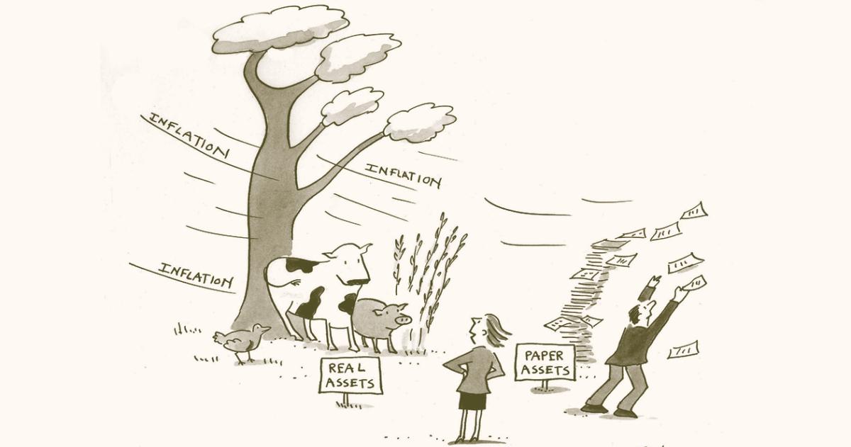 The Role of Real Assets in Investor Portfolios