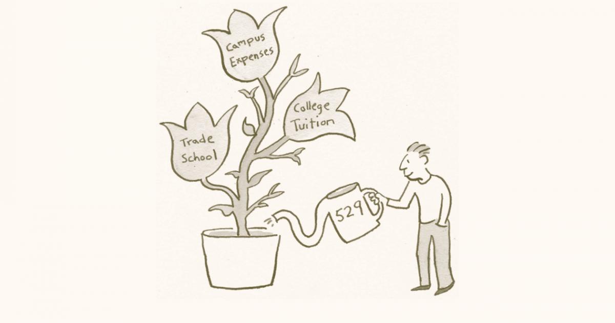 Cover Image for 529 Plans article