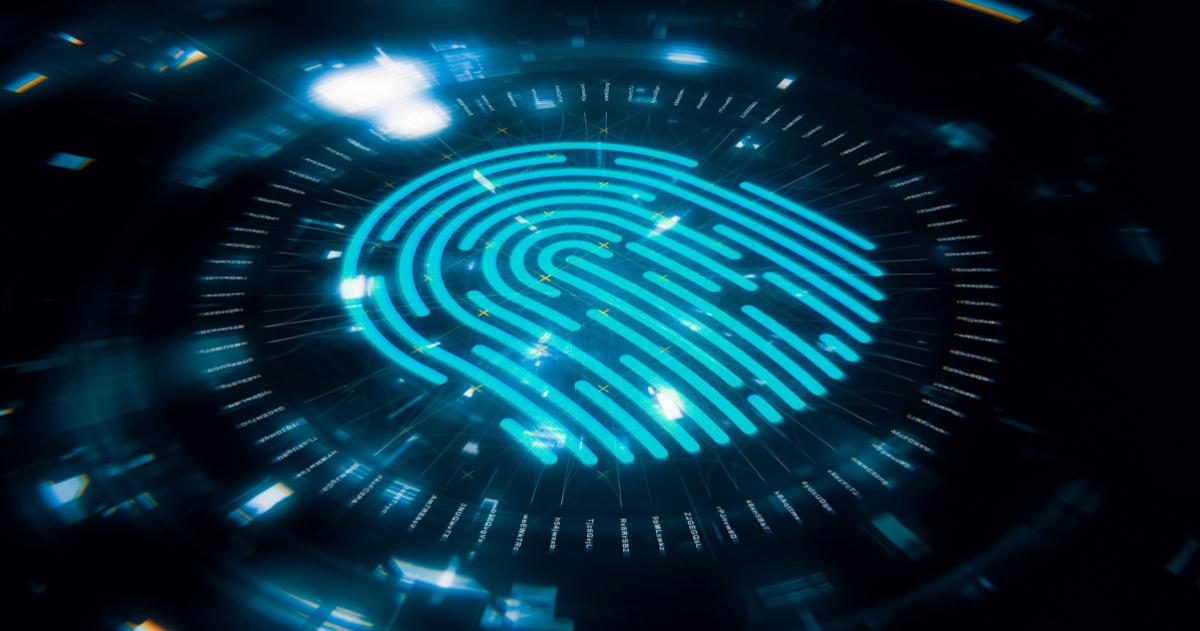 Alchemy: An Overview of RMB's Proprietary Information Management Tool