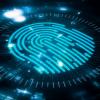 Alchemy: An Overview of RMB's Proprietary Information Management Tool