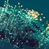 Alphacuity: An Overview of RMB's Proprietary Risk Analysis Tool