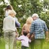 Multigenerational family holding hands and walking