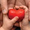 Trends in Charitable Giving