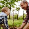 Grandfather and toddler grandchild planting a tree