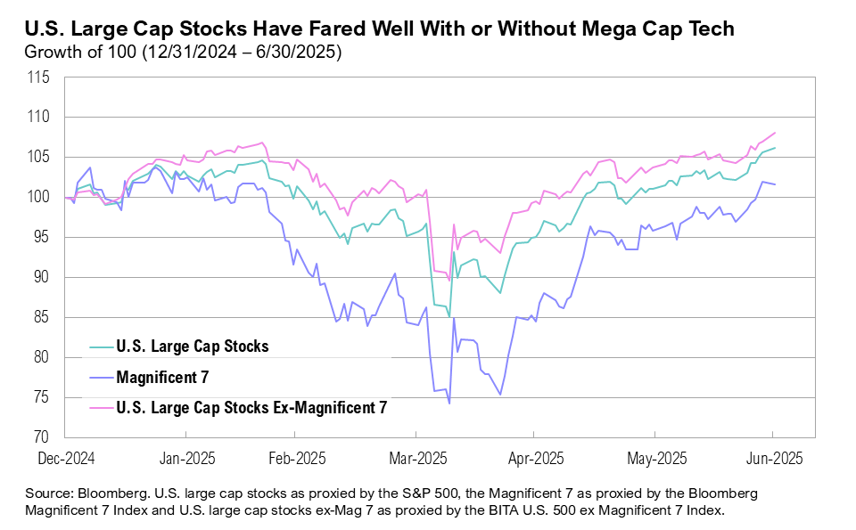 Graph titled, "U.S. Large Cap Stocks Have Fared Well With or Without Mega Cap Tech"