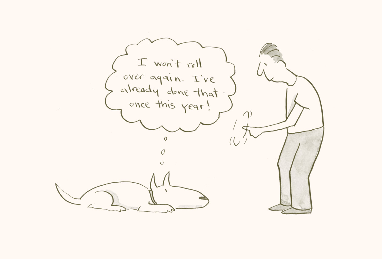 One and Done: The 60-Day IRA Rollover