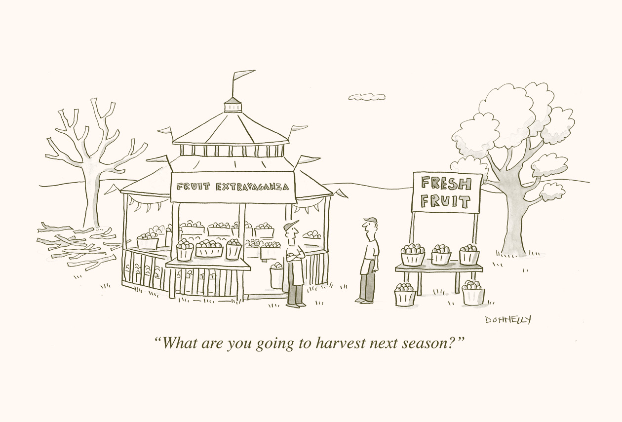 The Importance of Dividend Growth