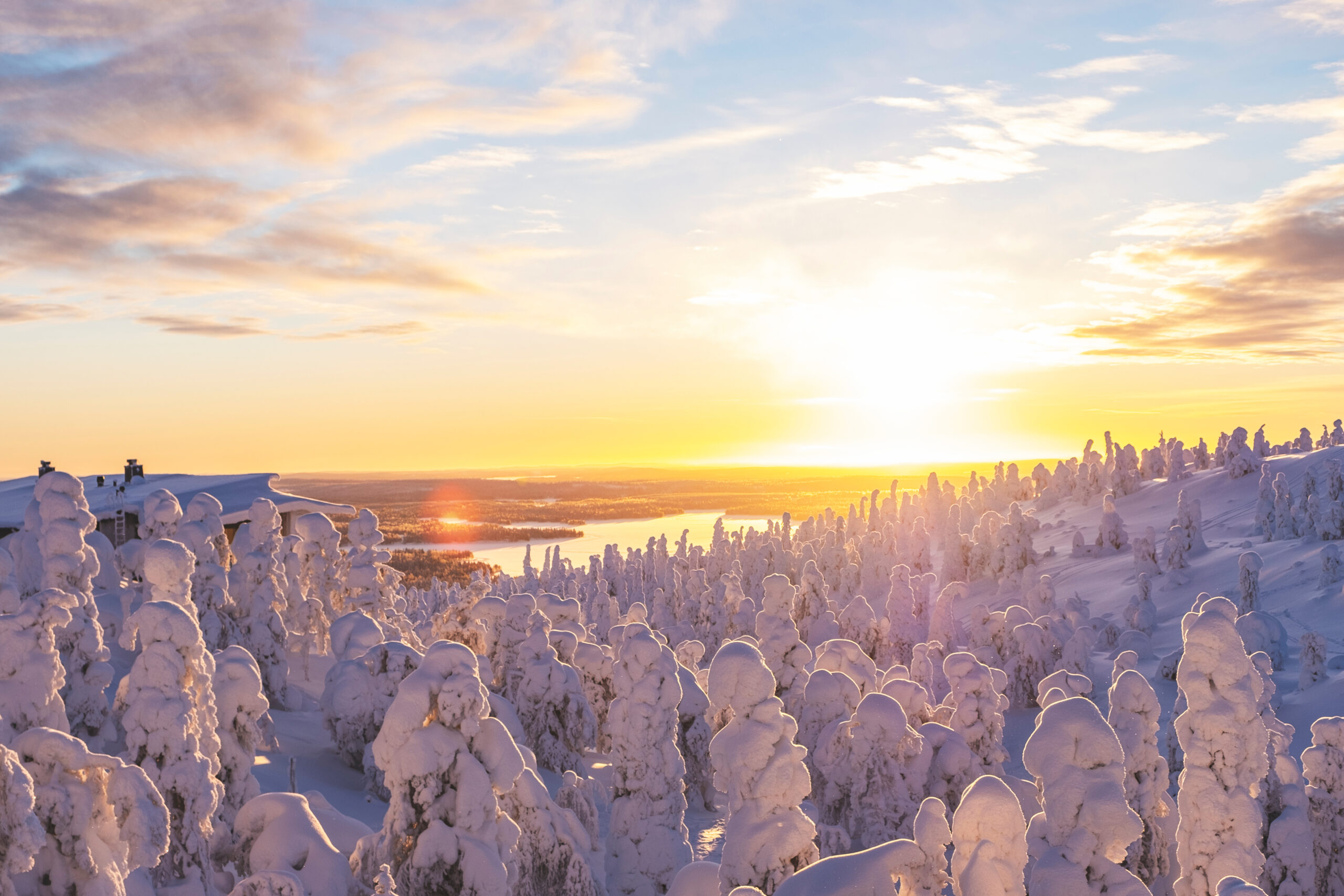 The Old Fashioned: January 2025